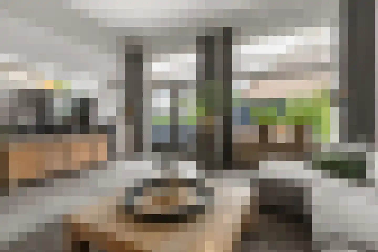 Zonnehof 54 Waddinxveen thumbnail 23
