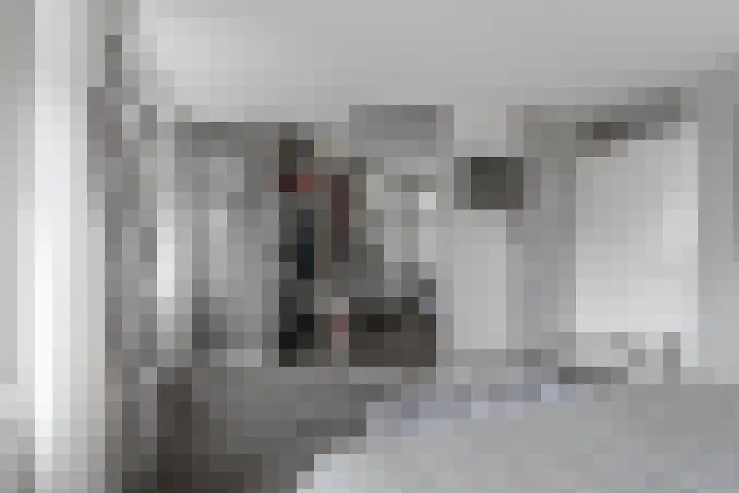Zonnehof 54 Waddinxveen thumbnail 37