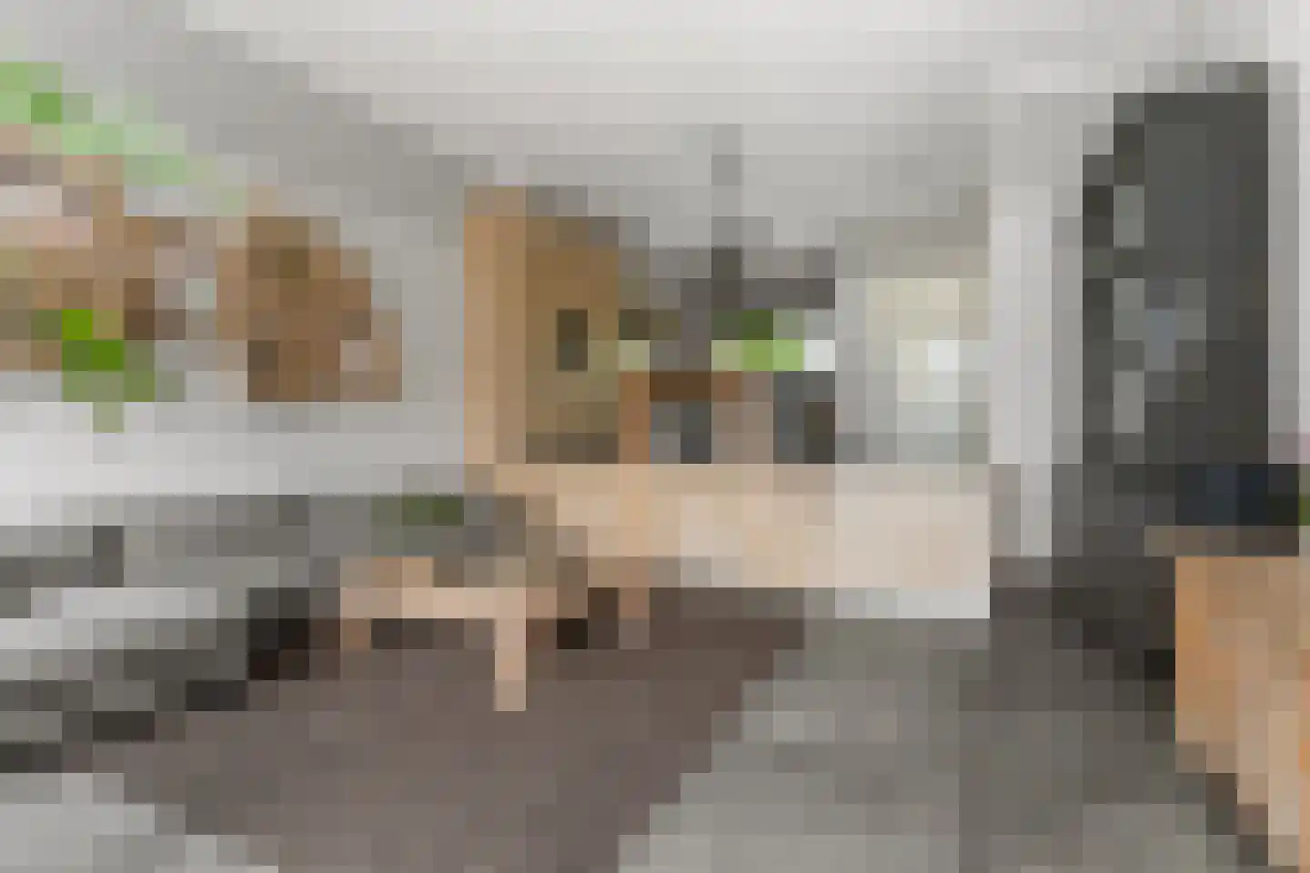 Zonnehof 54 Waddinxveen thumbnail 4