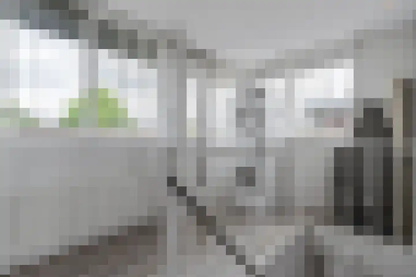 Zonnehof 54 Waddinxveen thumbnail 42