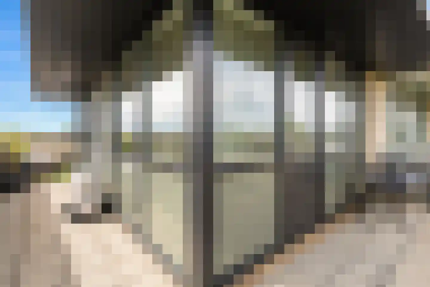 Zonnehof 54 Waddinxveen thumbnail 48