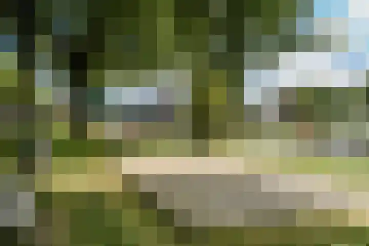 Zonnehof 56 Amsterdam thumbnail 29