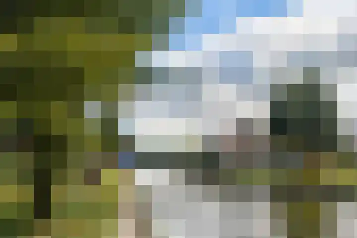 Zonnehof 56 Amsterdam thumbnail 30