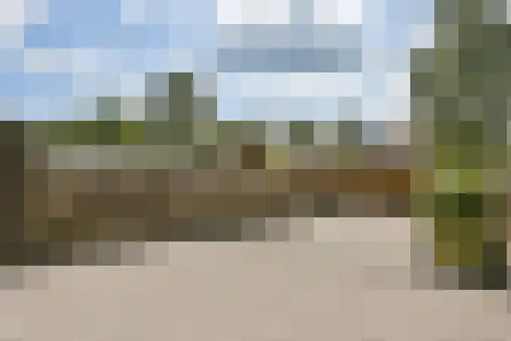 Zonnehof 56 Amsterdam thumbnail 8