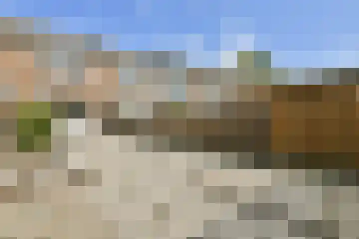Zonnehof 56 Amsterdam thumbnail 9
