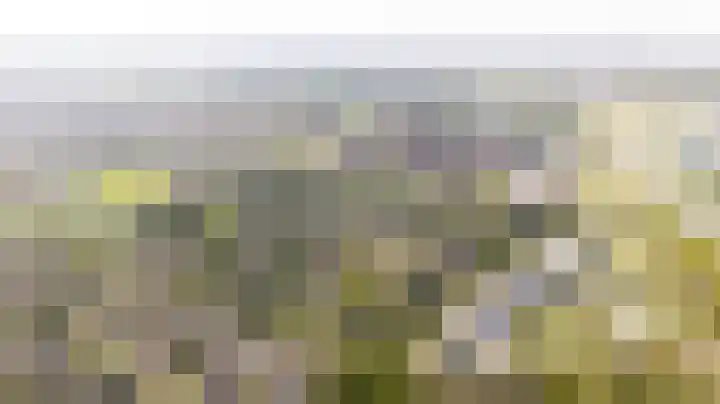 Zonnehof 59 Nootdorp thumbnail 10