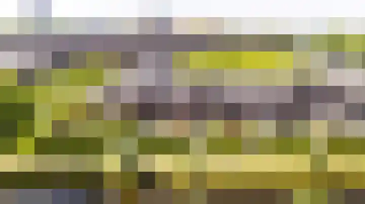 Zonnehof 59 Nootdorp thumbnail 11