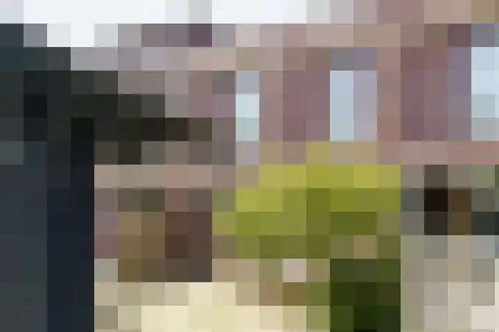 Zonnehof 59 Nootdorp thumbnail 15