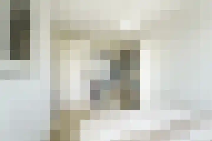 Zonnehof 59 Nootdorp thumbnail 28