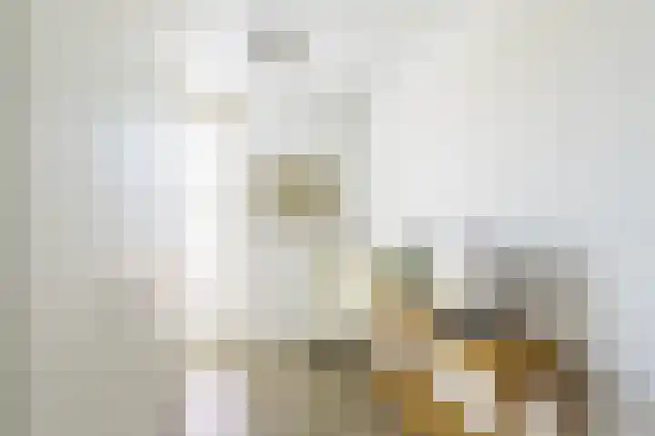 Zonnehof 59 Nootdorp thumbnail 29