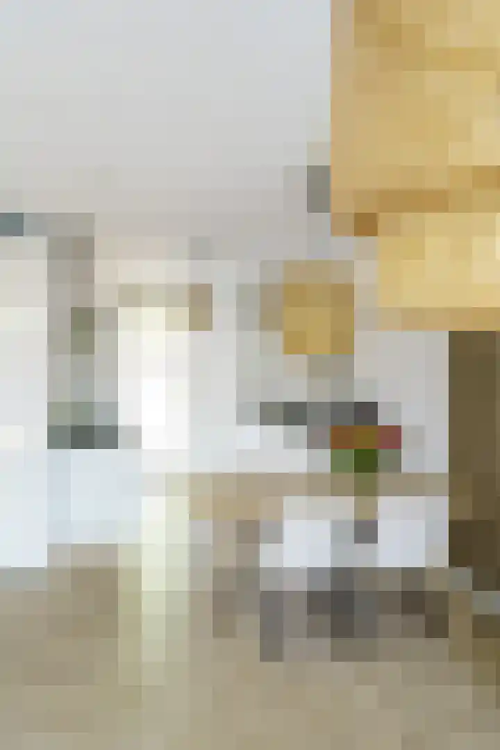 Zonnehof 59 Nootdorp thumbnail 35