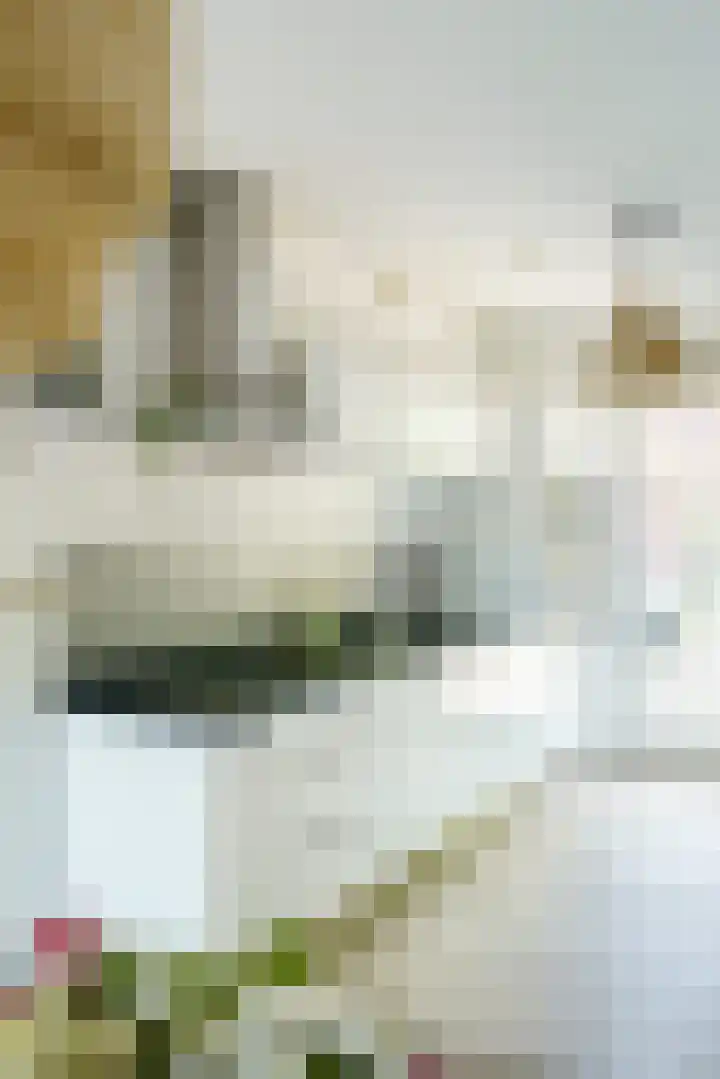 Zonnehof 59 Nootdorp thumbnail 36