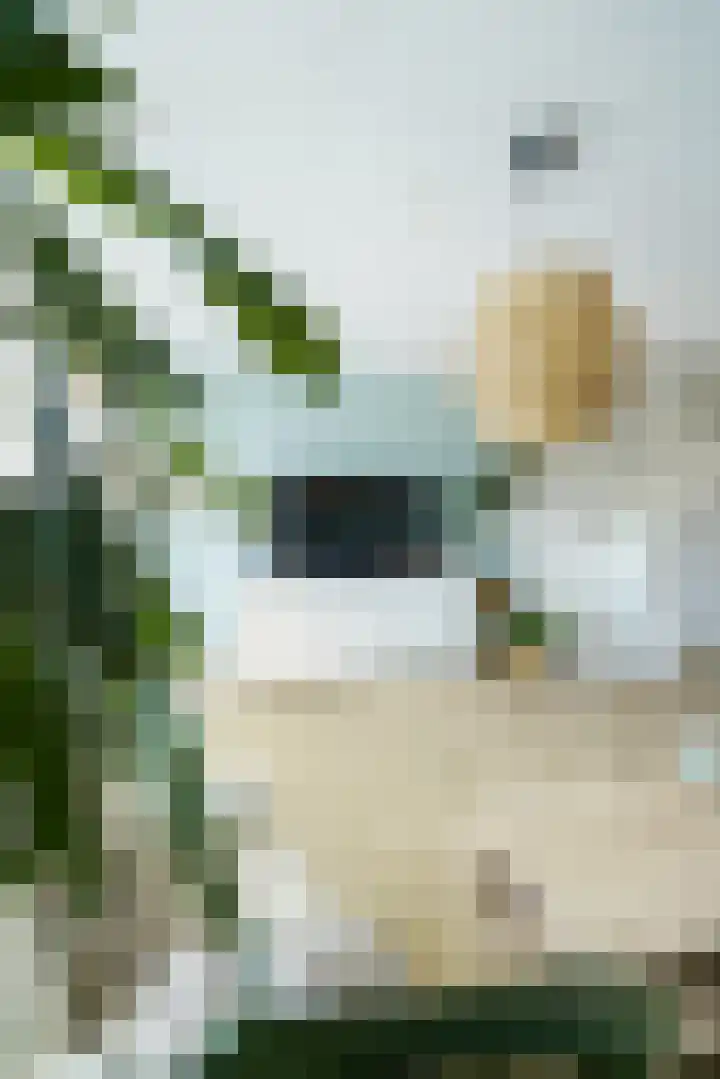 Zonnehof 59 Nootdorp thumbnail 39