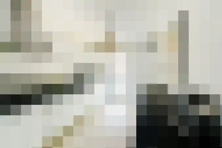 Zonnehof 59 Nootdorp thumbnail 4