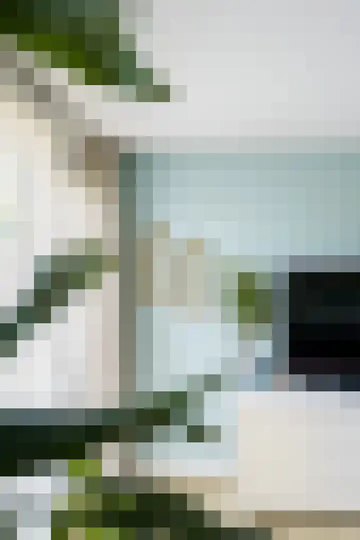 Zonnehof 59 Nootdorp thumbnail 40
