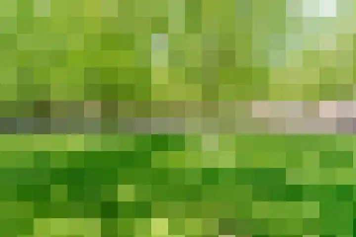 Zonnehof 59 Nootdorp thumbnail 41