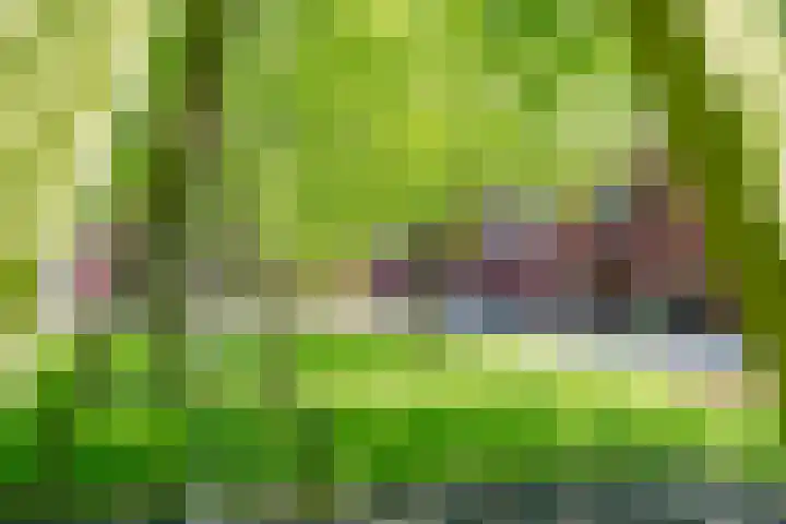Zonnehof 59 Nootdorp thumbnail 43