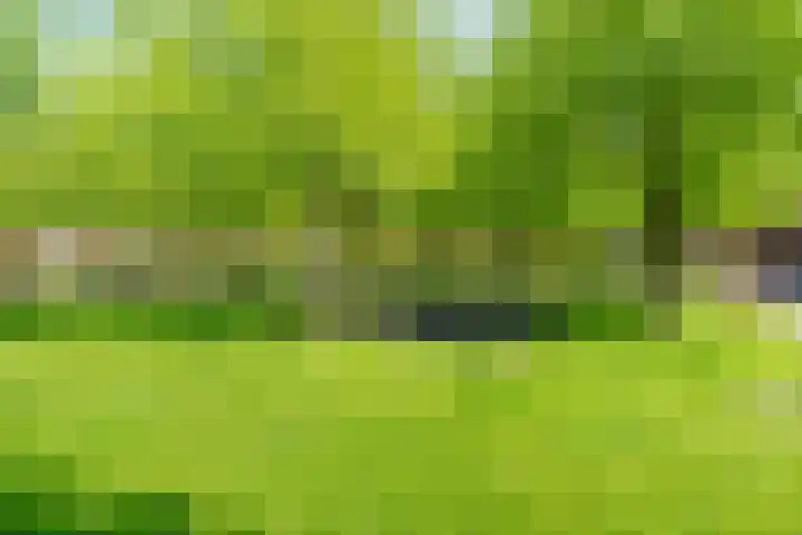 Zonnehof 59 Nootdorp thumbnail 44