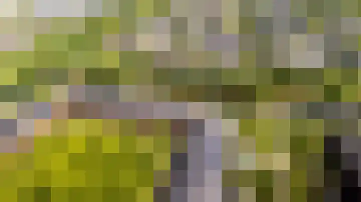 Zonnehof 59 Nootdorp thumbnail 45