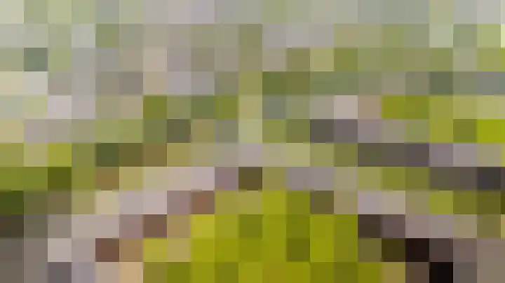 Zonnehof 59 Nootdorp thumbnail 46