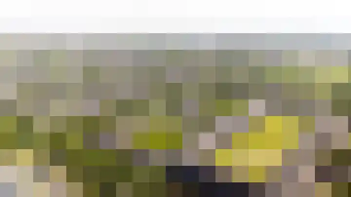 Zonnehof 59 Nootdorp thumbnail 47