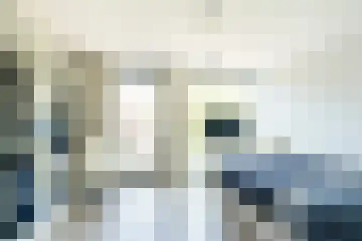 Zonnehof 59 Nootdorp thumbnail 8