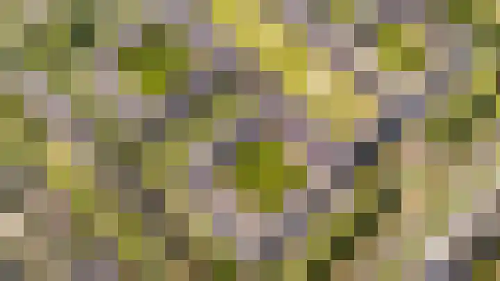 Zonnehof 59 Nootdorp thumbnail 9