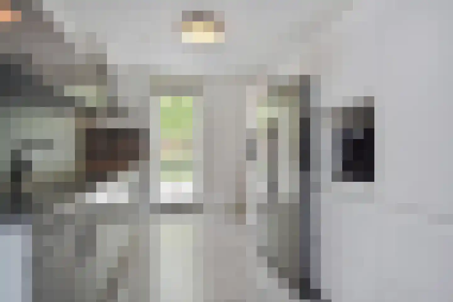 Zonnehof 68 Nootdorp thumbnail 13