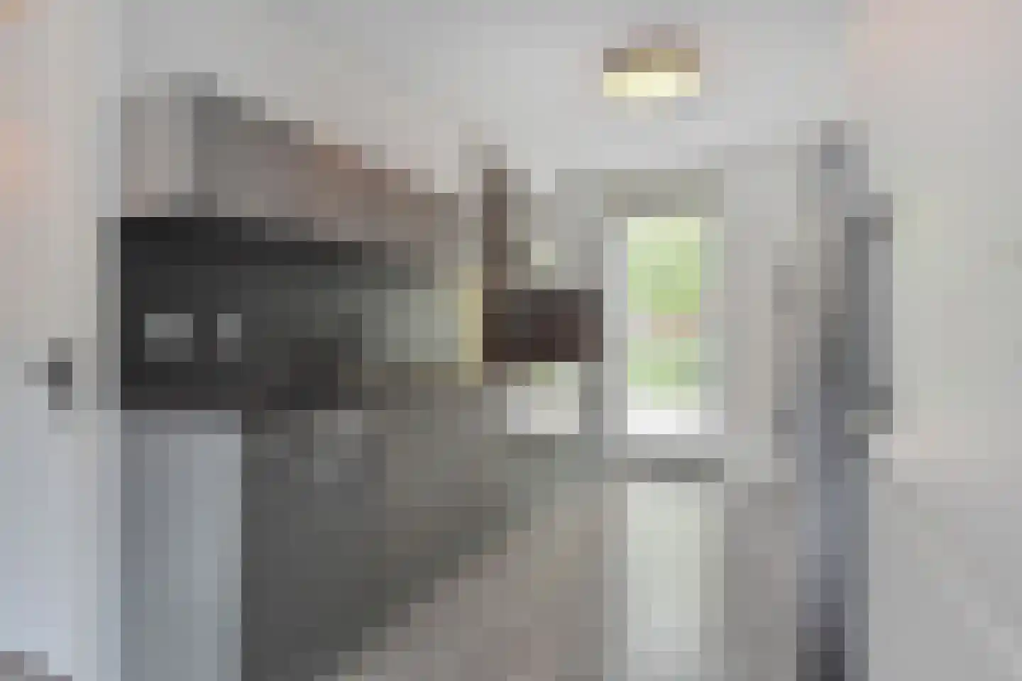 Zonnehof 68 Nootdorp thumbnail 14