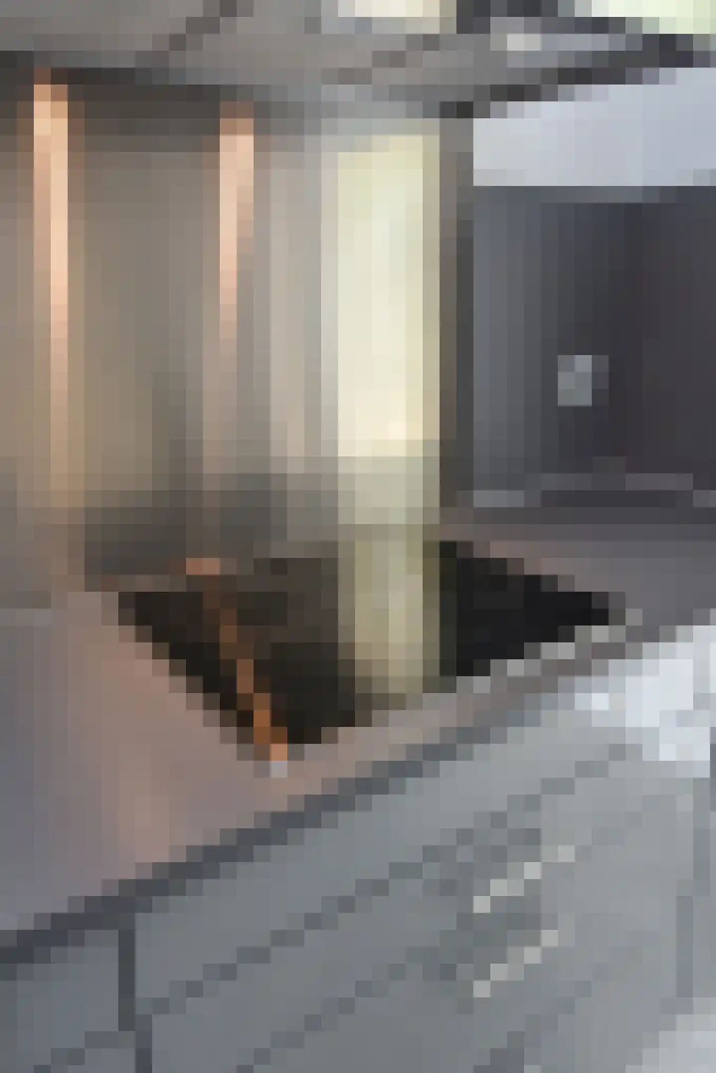 Zonnehof 68 Nootdorp thumbnail 15