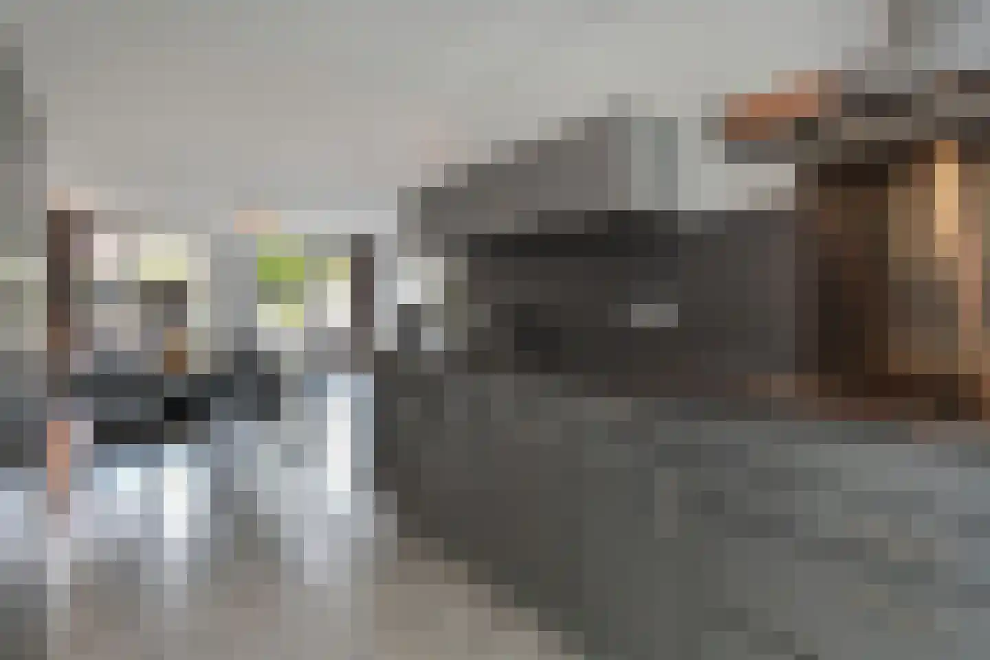 Zonnehof 68 Nootdorp thumbnail 16