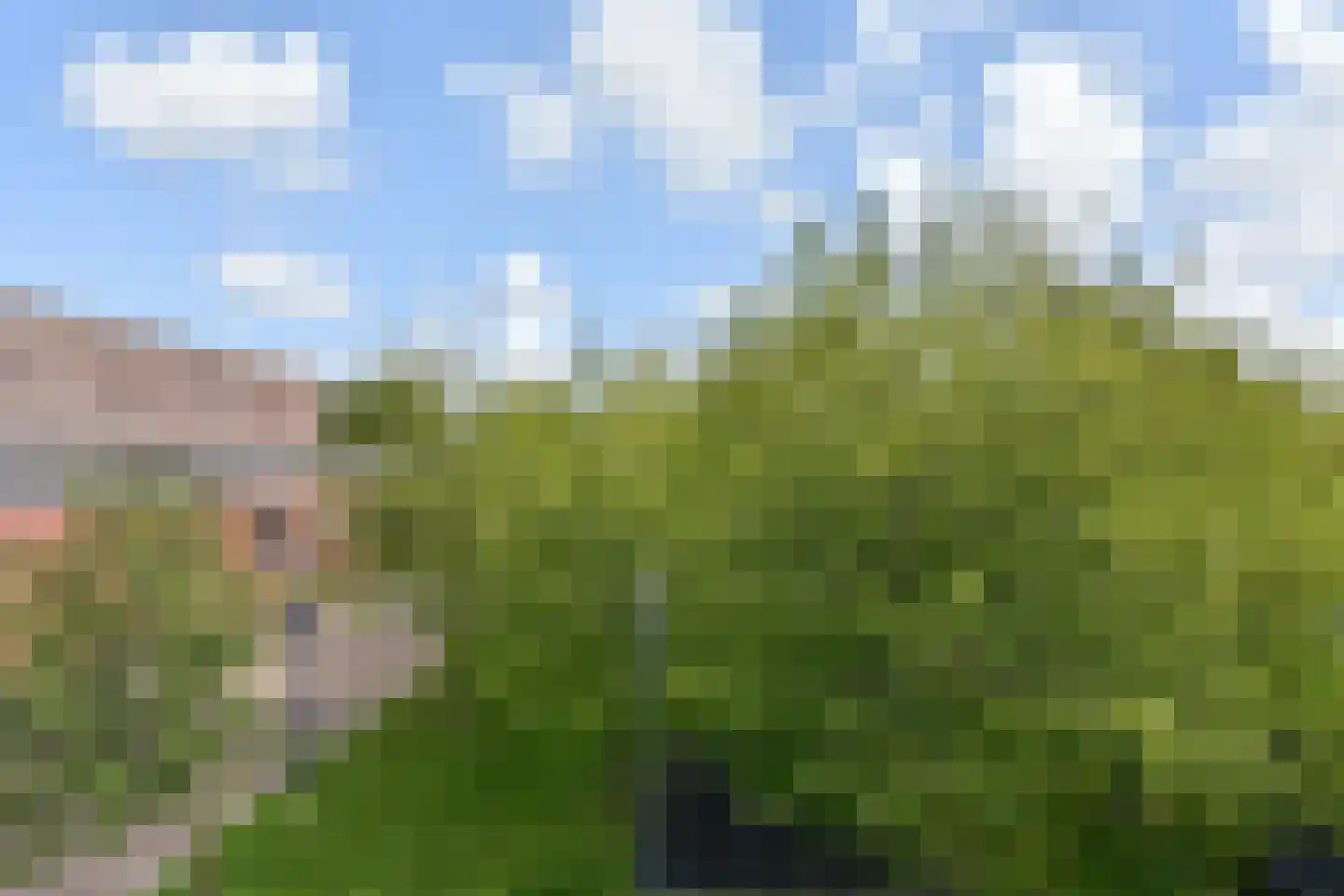 Zonnehof 68 Nootdorp thumbnail 29