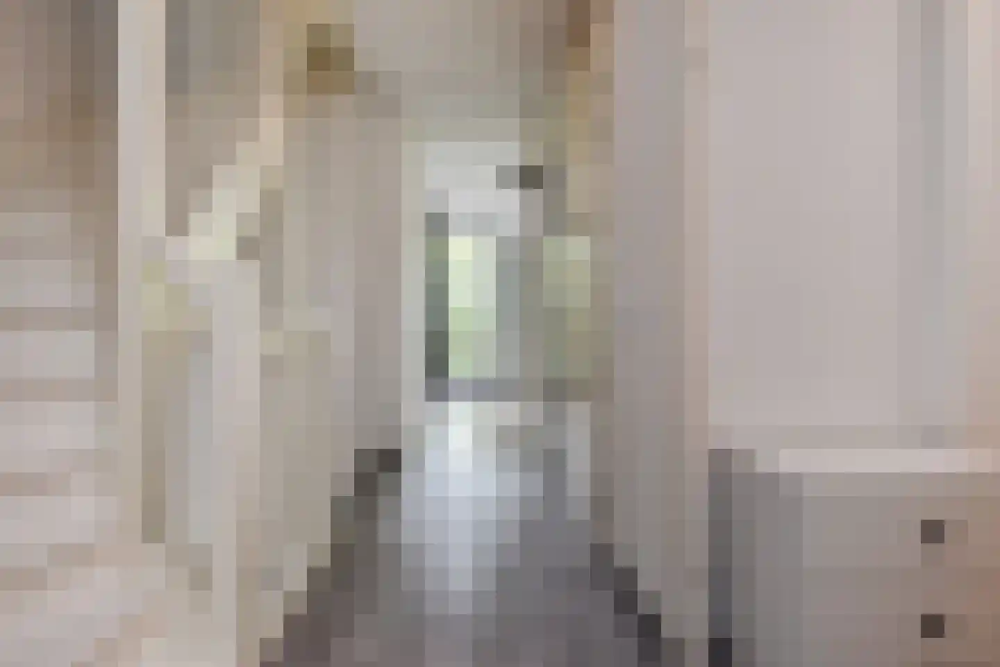 Zonnehof 68 Nootdorp thumbnail 32