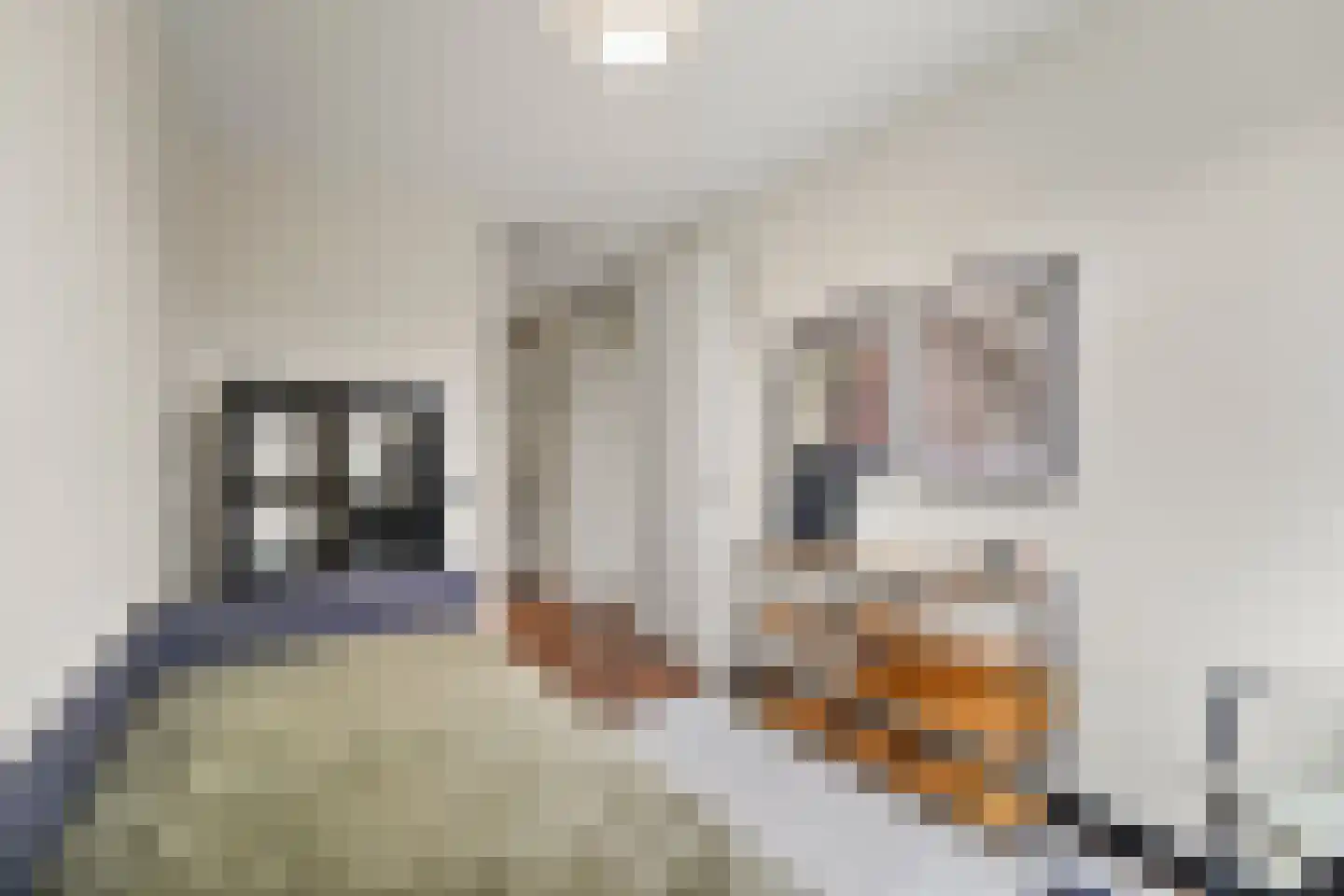 Zonnehof 69 Nootdorp thumbnail 28