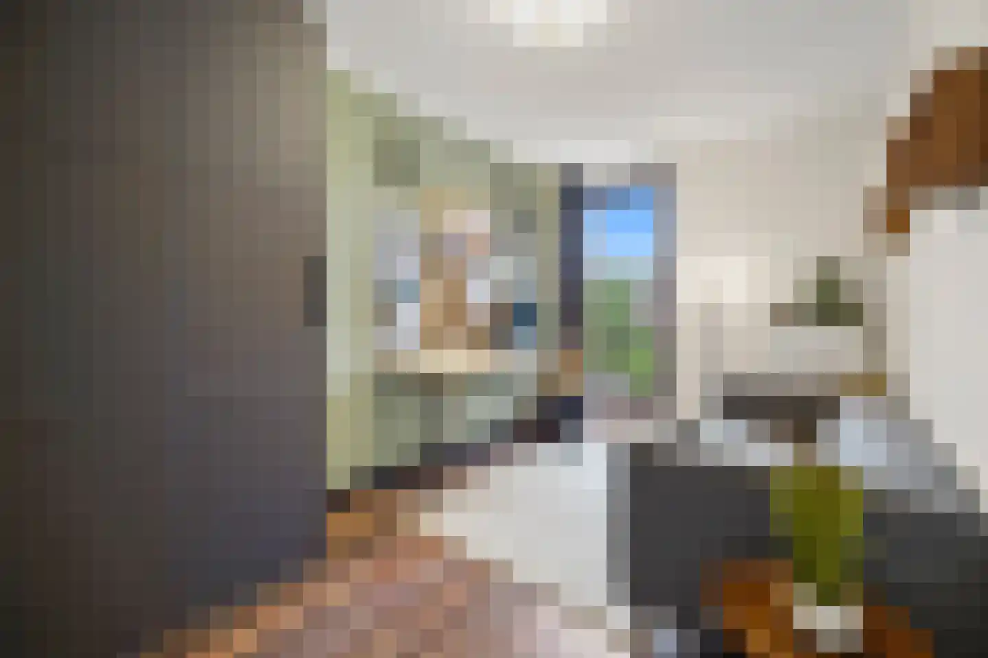 Zonnehof 69 Nootdorp thumbnail 29
