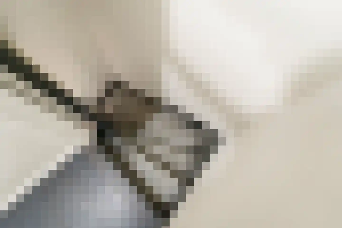 Zonnehof 69 Nootdorp thumbnail 32