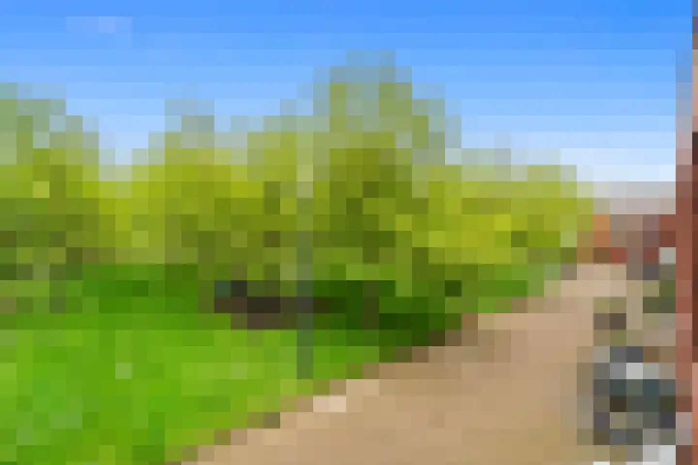 Zonnehof 69 Nootdorp thumbnail 39