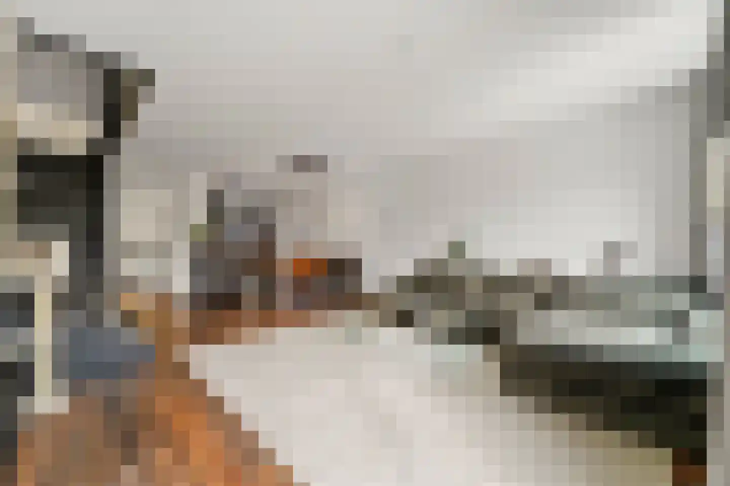Zonnehof 69 Nootdorp thumbnail 4