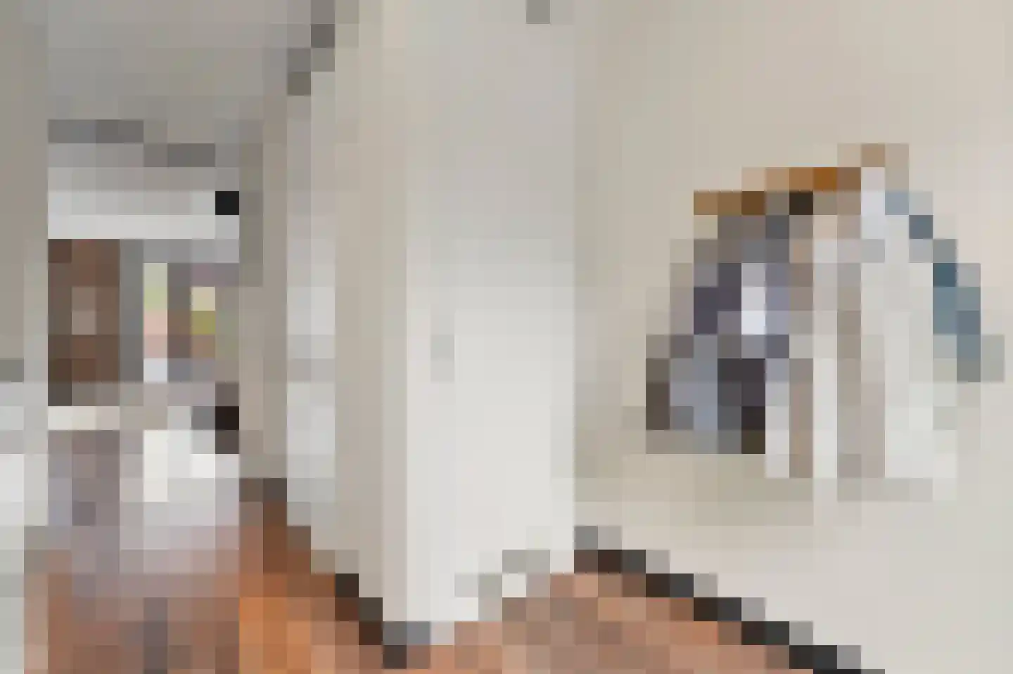 Zonnehof 69 Nootdorp thumbnail 8