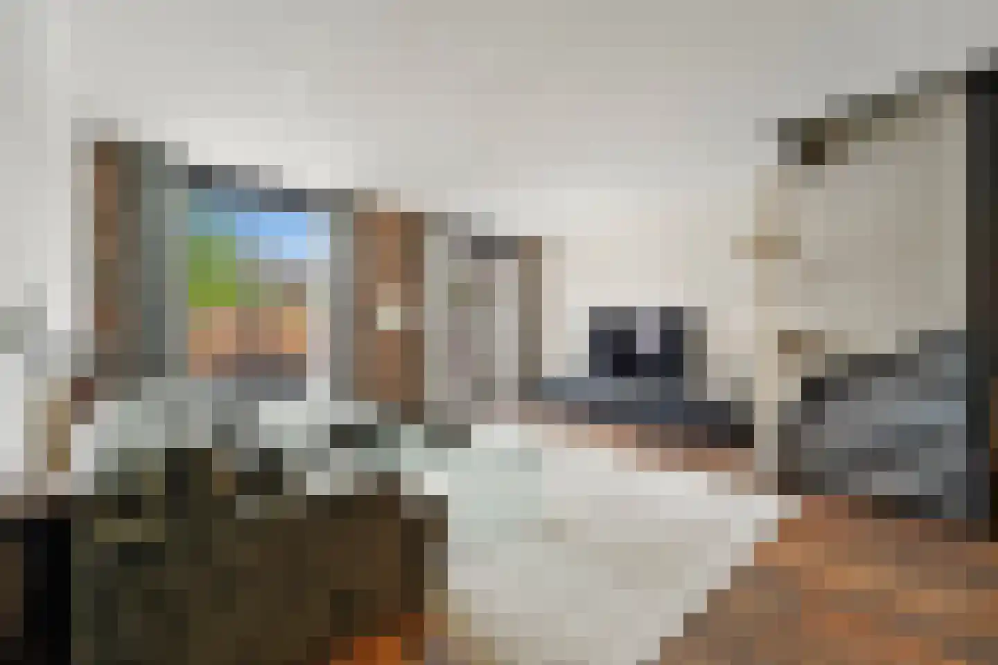 Zonnehof 69 Nootdorp thumbnail 9