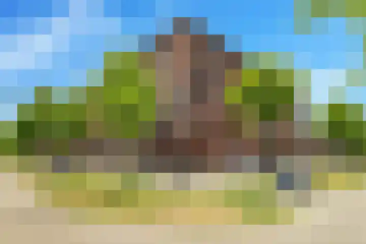 Zonnehof 74 Heerhugowaard thumbnail 34