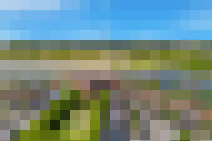 Zonnehof 74 Heerhugowaard thumbnail 38