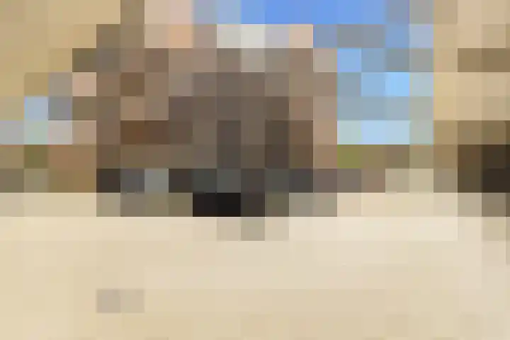 Zonnehof 74 Heerhugowaard thumbnail 39