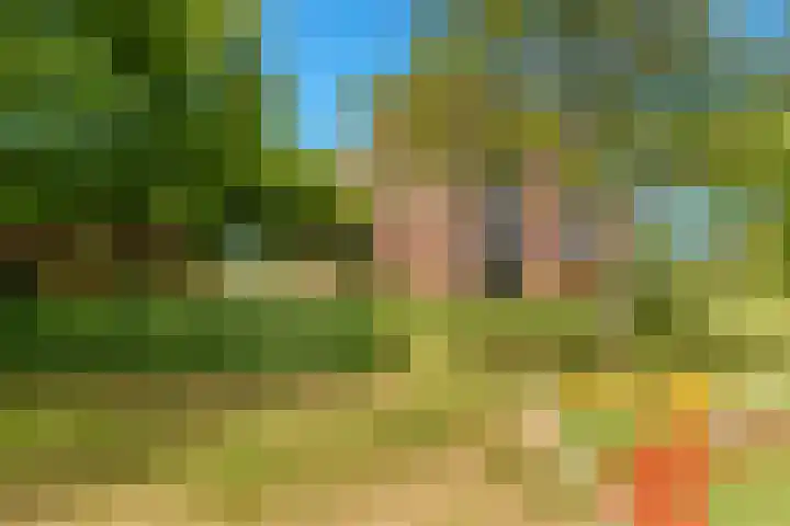 Zonnehof 74 Heerhugowaard thumbnail 40