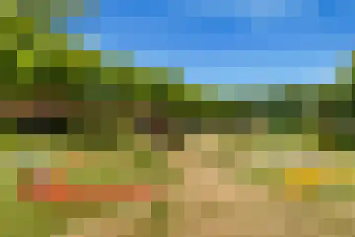 Zonnehof 74 Heerhugowaard thumbnail 41