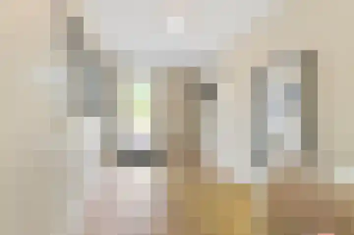 Zonnehof 75 Nootdorp thumbnail 32