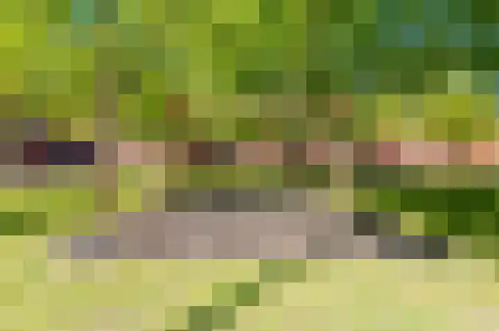 Zonnehof 75 Nootdorp thumbnail 36