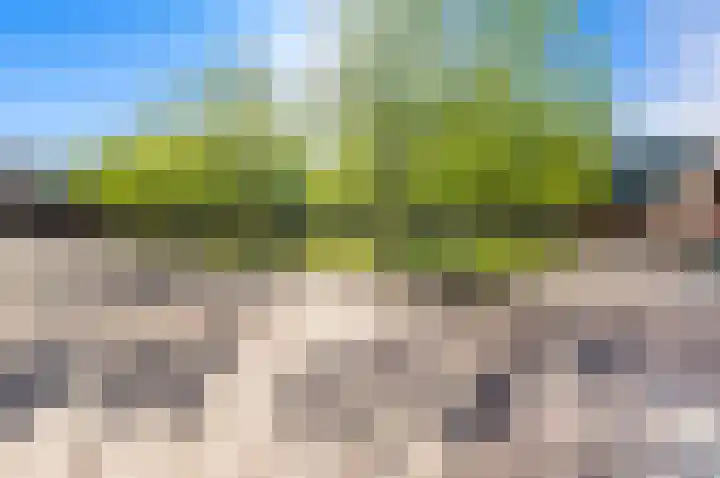 Zonnehof 75 Nootdorp thumbnail 4