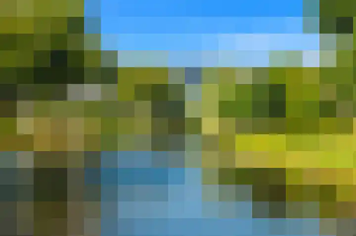 Zonnehof 75 Nootdorp thumbnail 41