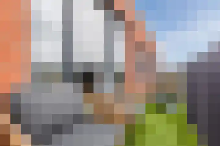 Zonnehof 76 Heerhugowaard thumbnail 21